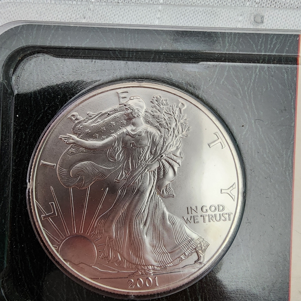 2001 Silver American Eagle Coin One Dollar - Picture 2 of 4